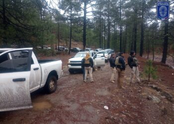 Realizan rastreo de búsqueda por desaparecidos en localidades de Madera