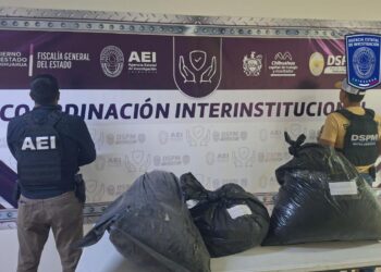 Aseguran 34 kilogramos de marigu4na dentro de bolsas en la carretera a Aldama