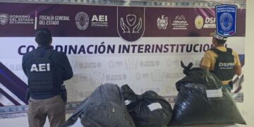 Aseguran 34 kilogramos de marigu4na dentro de bolsas en la carretera a Aldama
