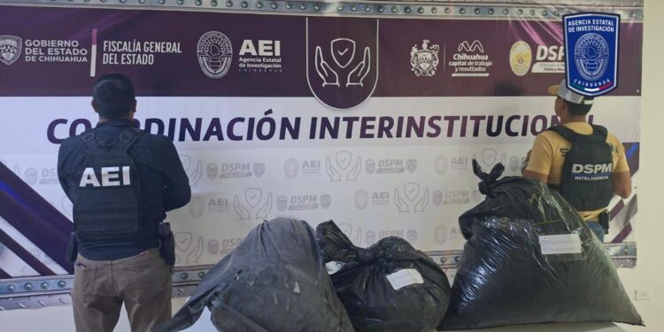 Aseguran 34 kilogramos de marigu4na dentro de bolsas en la carretera a Aldama