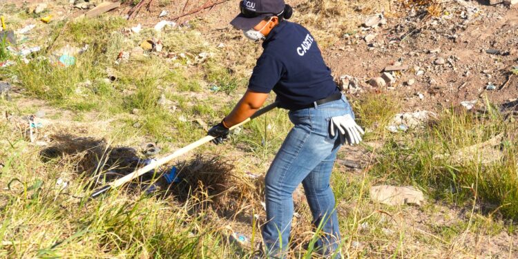 Retiran 189 toneladas de basura y escombro de arroyos de la colonia Punta Oriente