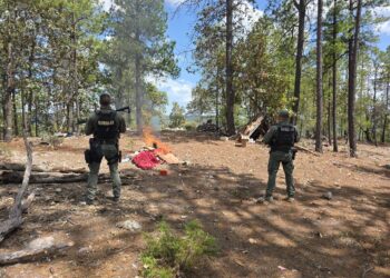 Localizaron e inhabilitaron narcocampamento en Guadalupe y Calvo