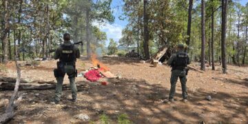 Localizaron e inhabilitaron narcocampamento en Guadalupe y Calvo