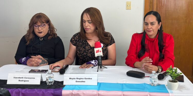 Día de la Visibilidad Trans: Colectivo exige en Chihuahua el fin de la deuda histórica del Estado