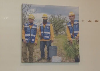 Apoyos de hasta 10 mil pesos para apicultores en Chihuahua