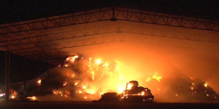 Arde almacén con pacas de pastura en Rosales