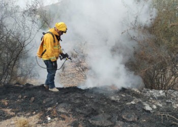 Atienden incendio de pastizal en la carretera Chihuahua–Aldama