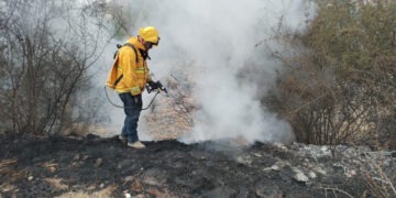 Atienden incendio de pastizal en la carretera Chihuahua–Aldama
