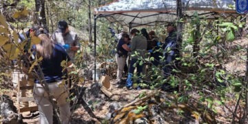 Localizan restos óseos en Agotare
