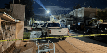 Catean vivienda en la colonia Pavis Borunda