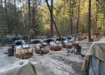 Aseguran dos laboratorios clandestinos de metanfetamina en la sierra de Chihuahua