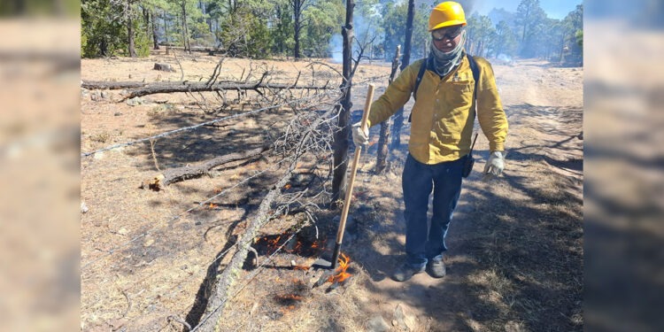 Llaman a evitar quemas agrícolas sin autorización para prevenir incendios forestales