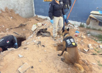 Localizan dos cuerpos inhumados durante cateo en domicilio de Ciudad Juárez