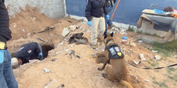 Localizan dos cuerpos inhumados durante cateo en domicilio de Ciudad Juárez