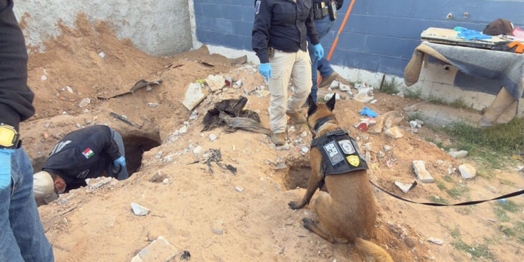 Localizan dos cuerpos inhumados durante cateo en domicilio de Ciudad Juárez