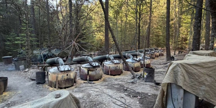 Localizan dos laboratorios de cristal en la zona serrana