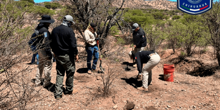 Localizan restos óseos durante rastreo en la Presa Torreoncillos, en Matamoros
