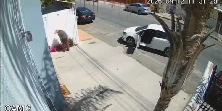 Reaccionan vecinos a robo de flores en Leones Universidad