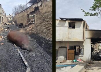 Investiga FGE incendio en predio utilizado como granja; varios animales perdieron la vida