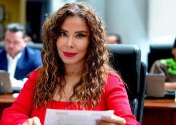 Tiene 4 meses yéndose, no logrará desestabilizar a nuestra bancada: Dip. Pérez Reyes a Dip. Rosana Díaz