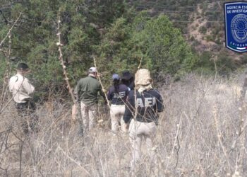Localizan restos óseos durante rastreo en carretera Parral- Guadalupe y Calvo ​