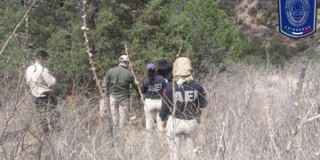 Localizan restos óseos durante rastreo en carretera Parral- Guadalupe y Calvo ​
