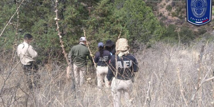 Localizan restos óseos durante rastreo en carretera Parral- Guadalupe y Calvo ​