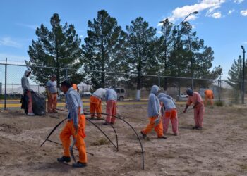 Participaron 20 personas privadas de la libertad del CERESO No. 1 en labores de mantenimiento