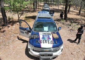 Golpe logístico en Guadalupe y Calvo: Desmantelan cinco narcocampamentos