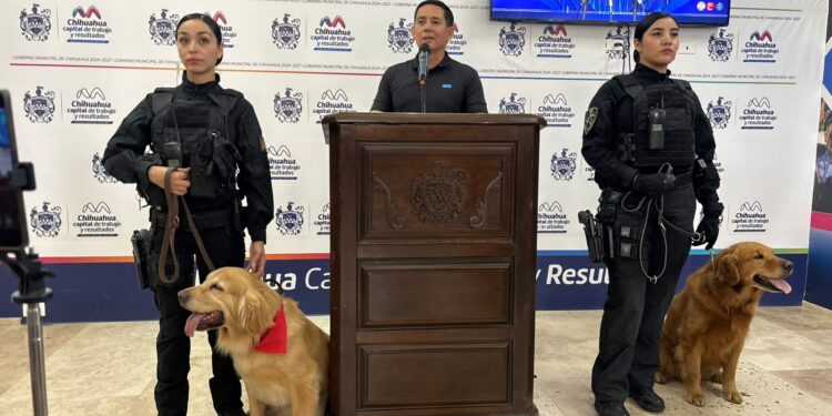 A un paso de la jubilación: Separan a policías municipales por “ordeñar” patrullas