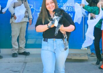 Promueven adopción de perritos: pueden ser tu compañía y ayuda emociona