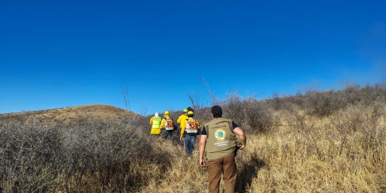 Evita incendios forestales y en pastos: Emiten recomendaciones