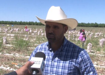 Agricultores denuncian que su trabajo ya no es rentable