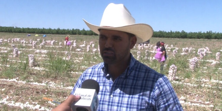 Agricultores denuncian que su trabajo ya no es rentable