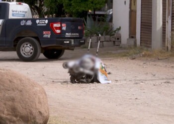 Localizan a mujer sin vida con huellas de violencia en la colonia 20 Aniversario