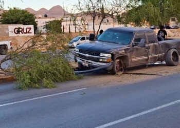 Impacta familia contra árbol en Las Industrias y Homero