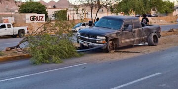 Impacta familia contra árbol en Las Industrias y Homero