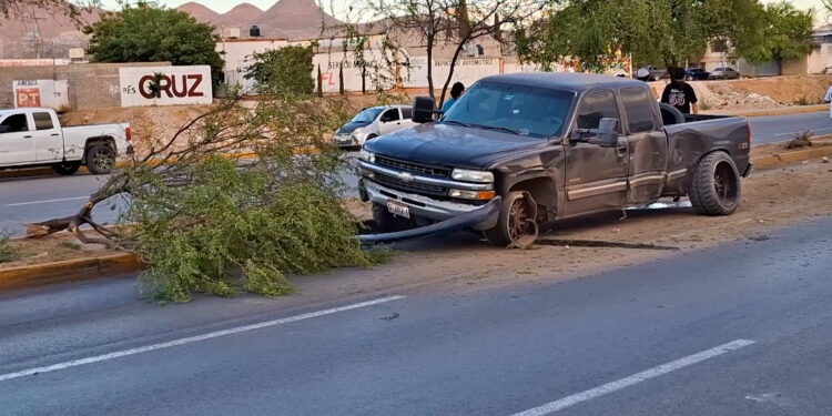 Impacta familia contra árbol en Las Industrias y Homero