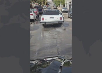 Asegura acusado de arrastrar a perro con su auto que el animal ya estaba muerto