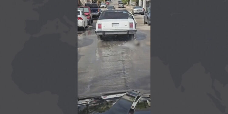 Asegura acusado de arrastrar a perro con su auto que el animal ya estaba muerto