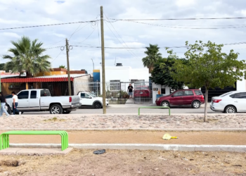 Detienen a presunto mataperros en la colonia Jardines de Oriente