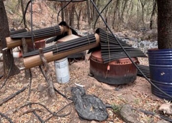 Desmantelan narcolaboratorio en la Sierra de Majalca; golpe al crimen organizado por casi 3 mil millones de pesos
