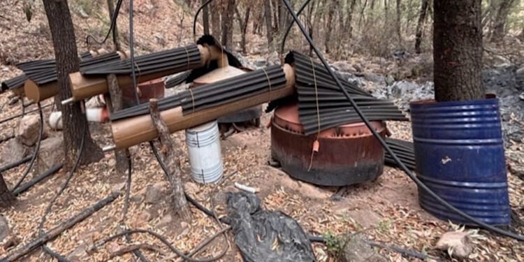 Desmantelan narcolaboratorio en la Sierra de Majalca; golpe al crimen organizado por casi 3 mil millones de pesos