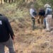 Localiza restos óseos durante rastreo en carretera Parral- Guadalupe y Calvo