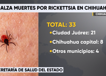 Suman 33 defunciones por rickettsia en Chihuahua durante 2026