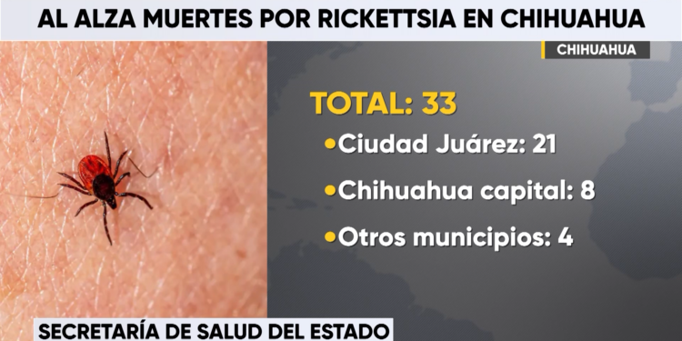 Suman 33 defunciones por rickettsia en Chihuahua durante 2026