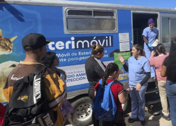 Más de mil 700 apoyos gratuitos han beneficiado a familias y mascotas de zonas rurales