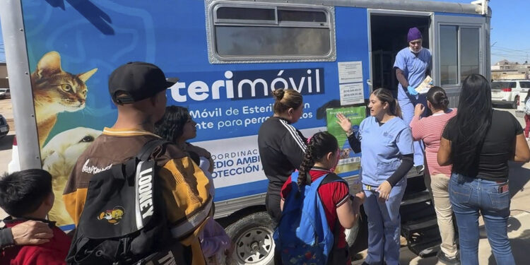 Más de mil 700 apoyos gratuitos han beneficiado a familias y mascotas de zonas rurales