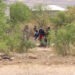 Ejecutan a pareja en el ejido Sacramento, en la carretera Chihuahua–Ciudad Juárez