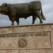 Realizan misa en la Unión Ganadera para pedir por el temporal de lluvias en Chihuahua